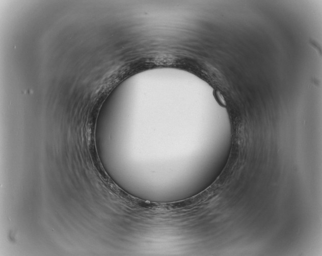 X0000103290697200808291108