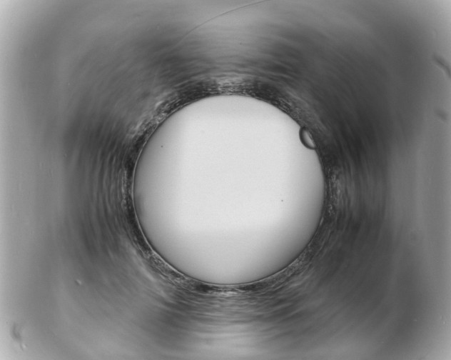X0000103290698200808291108