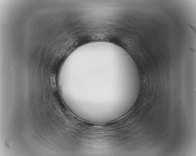 X0000103290699200808291108