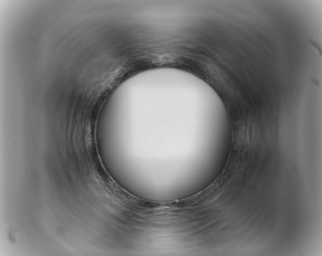 X0000103290700200808291108