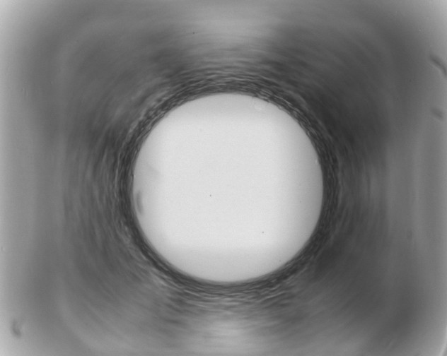 X0000103290701200808291108