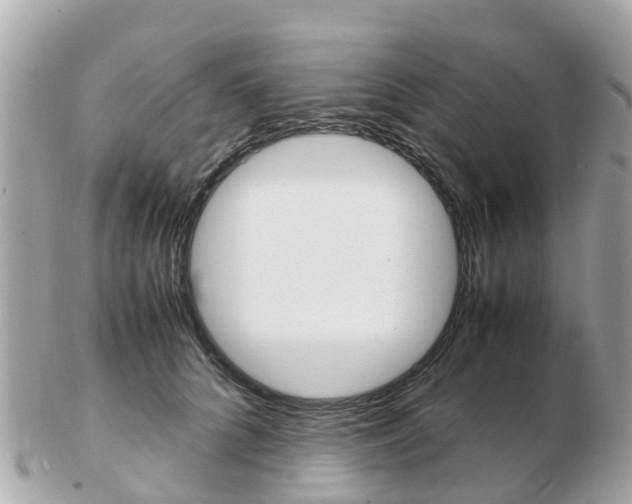 X0000103290704200808291108