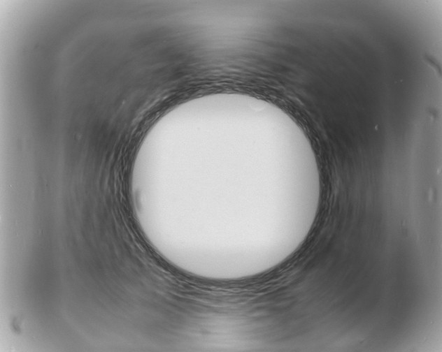 X0000103290705200808291108