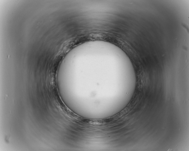 X0000103290706200808291108