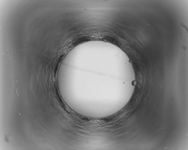 X0000103290707200808291108