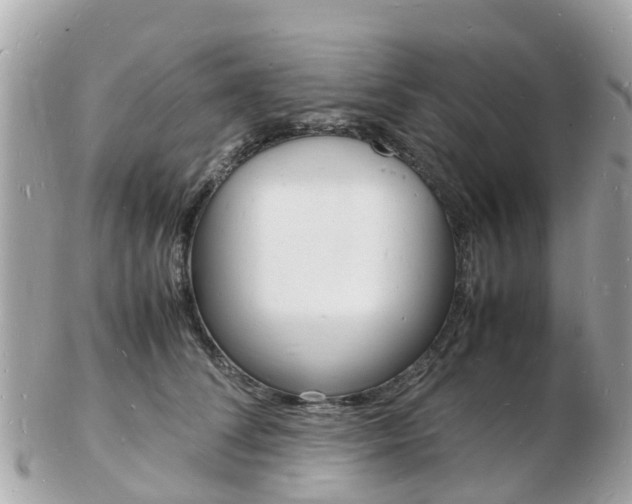X0000103290708200808291108