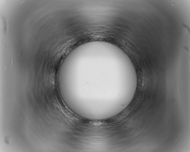 X0000103290710200808291108