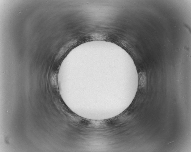 X0000103290713200808291108