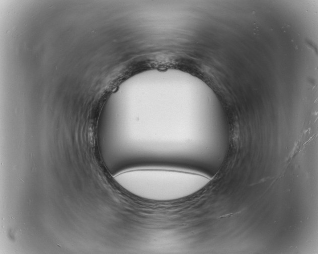 X0000103290715200808291108