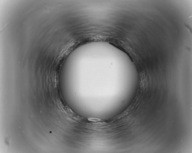 X0000103290716200808291108