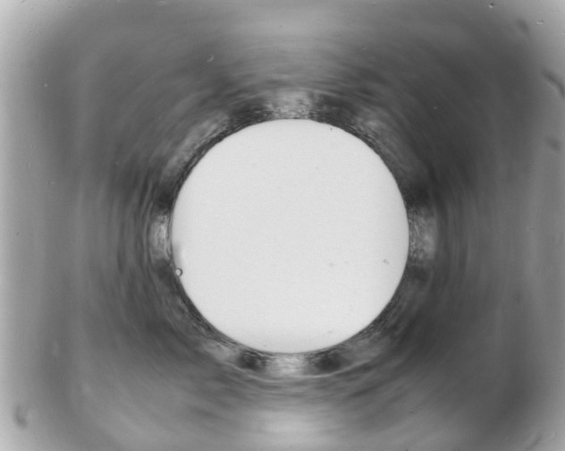 X0000103290717200808291108