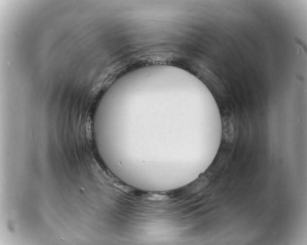 X0000103290718200808291108