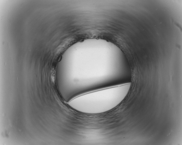 X0000103290719200808291108