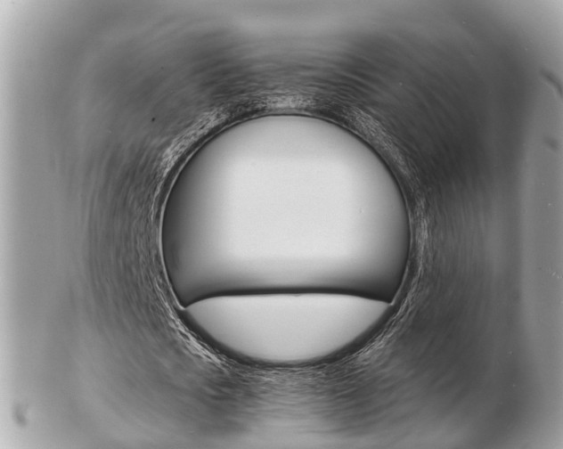 X0000103290721200808291107