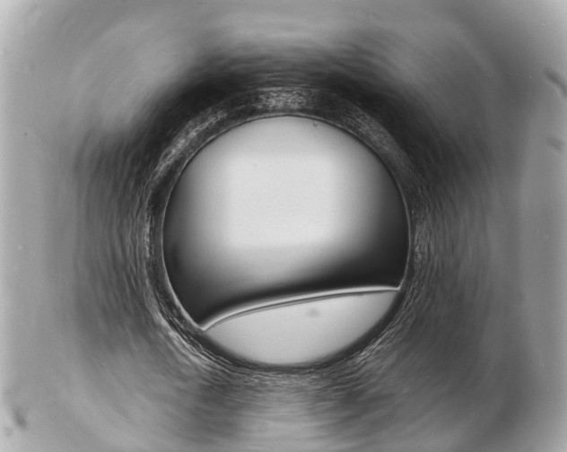X0000103290722200808291107