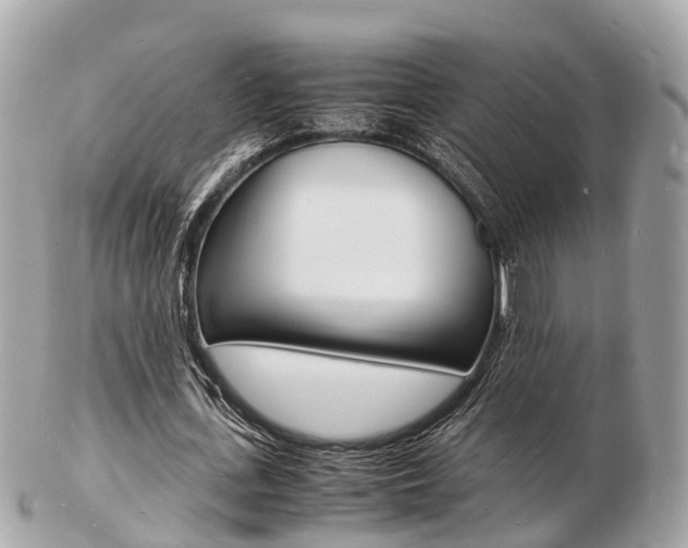 X0000103290723200808291107
