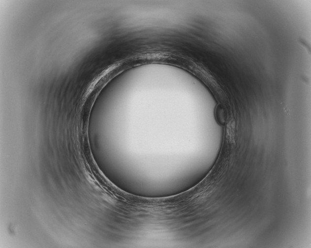 X0000103290724200808291107