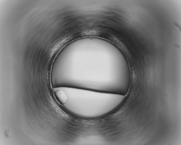 X0000103290725200808291107