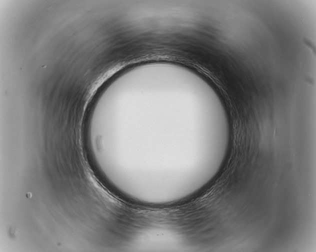 X0000103290726200808291107