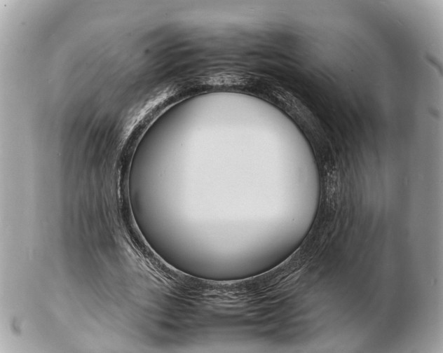X0000103290727200808291107