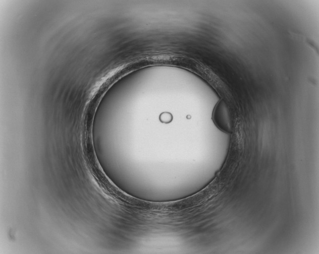 X0000103290728200808291107