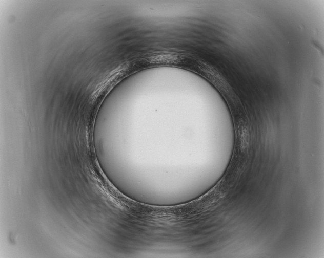 X0000103290729200808291107