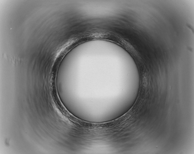 X0000103290730200808291107