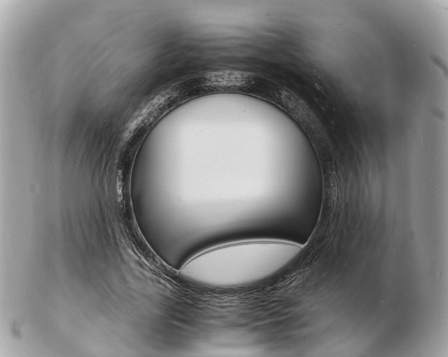 X0000103290731200808291107