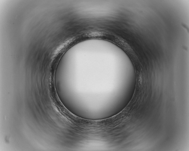 X0000103290732200808291107