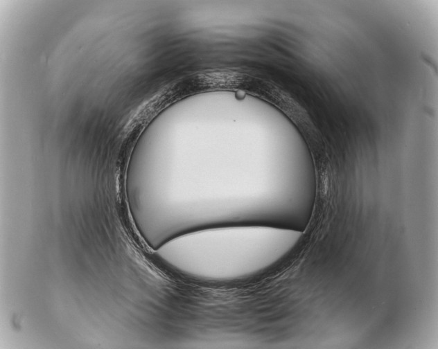 X0000103290733200808291107