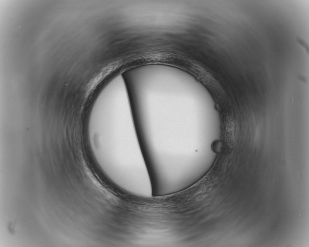 X0000103290734200808291107