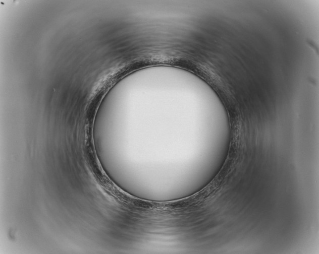 X0000103290736200808291107