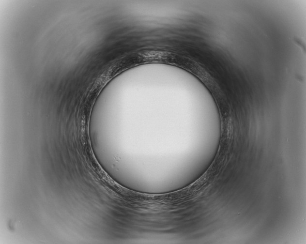 X0000103290737200808291107