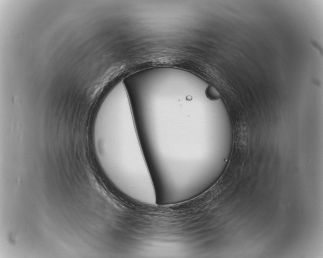 X0000103290738200808291107