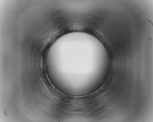 X0000103290739200808291107