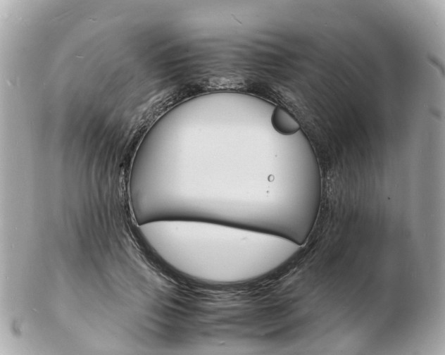 X0000103290741200808291107