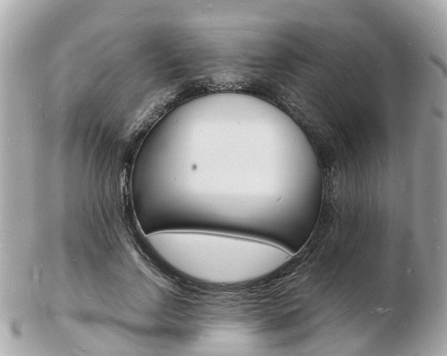 X0000103290742200808291107