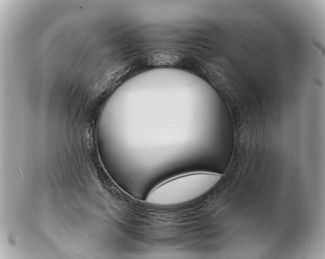 X0000103290743200808291107