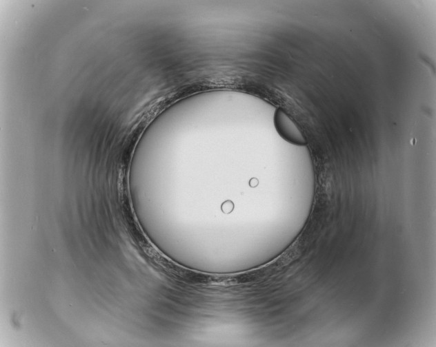 X0000103290744200808291107