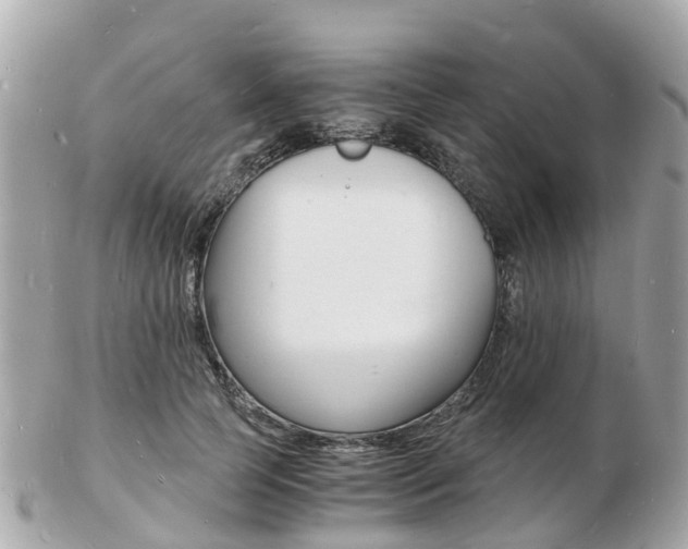 X0000103290745200808291107
