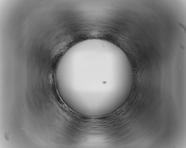 X0000103290746200808291107
