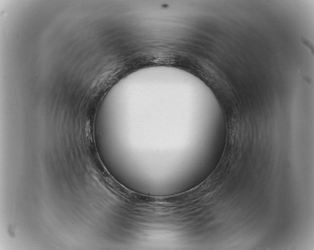 X0000103290748200808291107