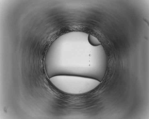 X0000103290749200808291107