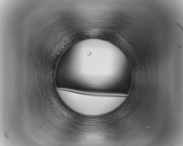 X0000103290750200808291108