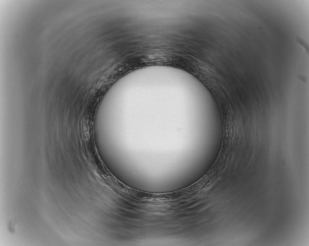 X0000103290751200808291108