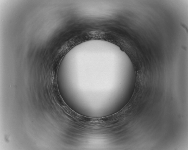 X0000103290752200808291108