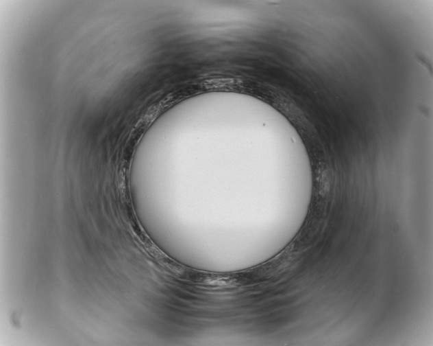X0000103290753200808291108