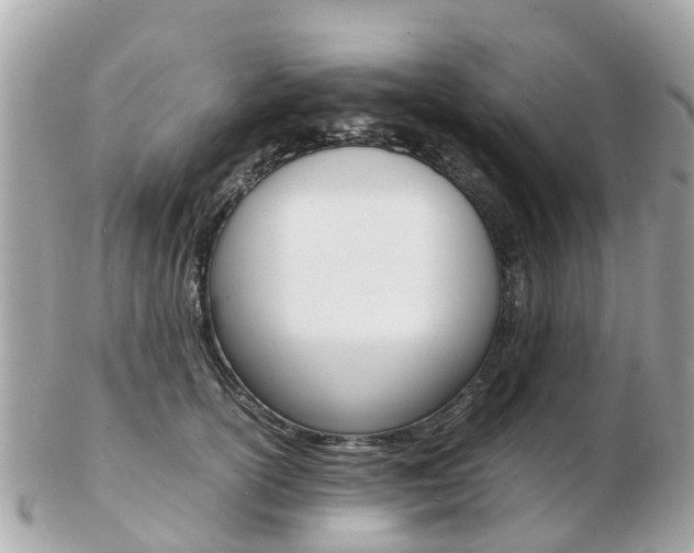 X0000103290754200808291108