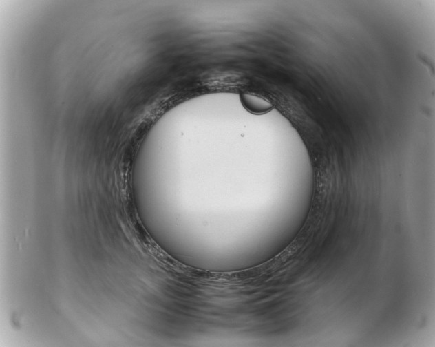 X0000103290755200808291108