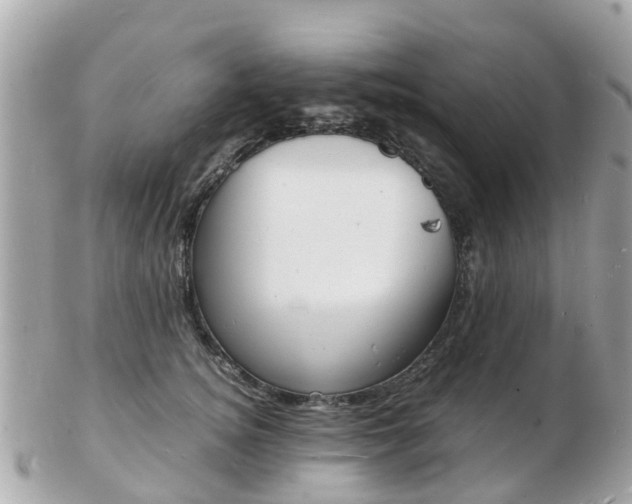 X0000103290756200808291108